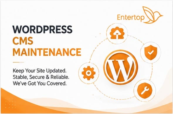 WordPress Web CMS Maintenance